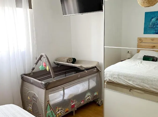 Hibiscus * Bajamar (La Laguna)