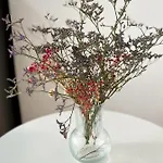 Hibiscus شقة *